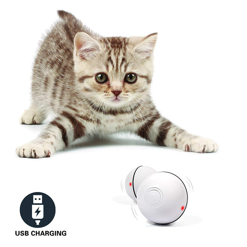 Pet Funny Cat Toy Ball- LED Laser Electronic Rolling ball