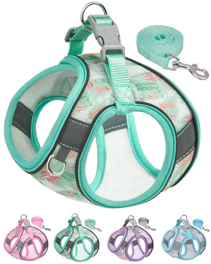 Dog Harness