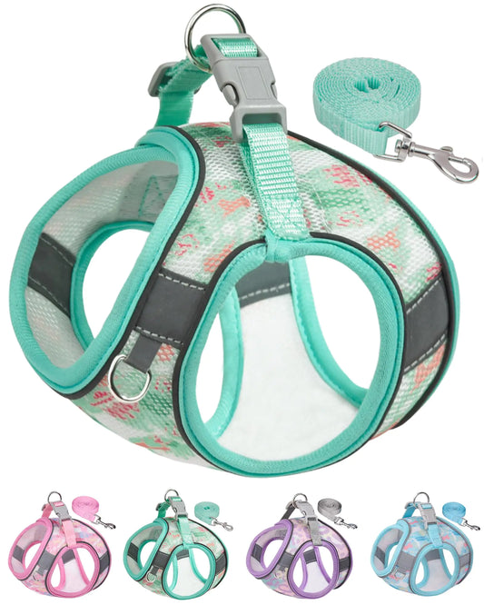 Dog Harness