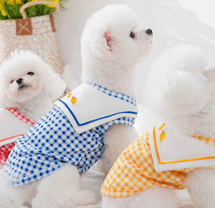 Pet Clothing
